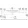 D-Neo Ceramic Sink White High Gloss 39.63"