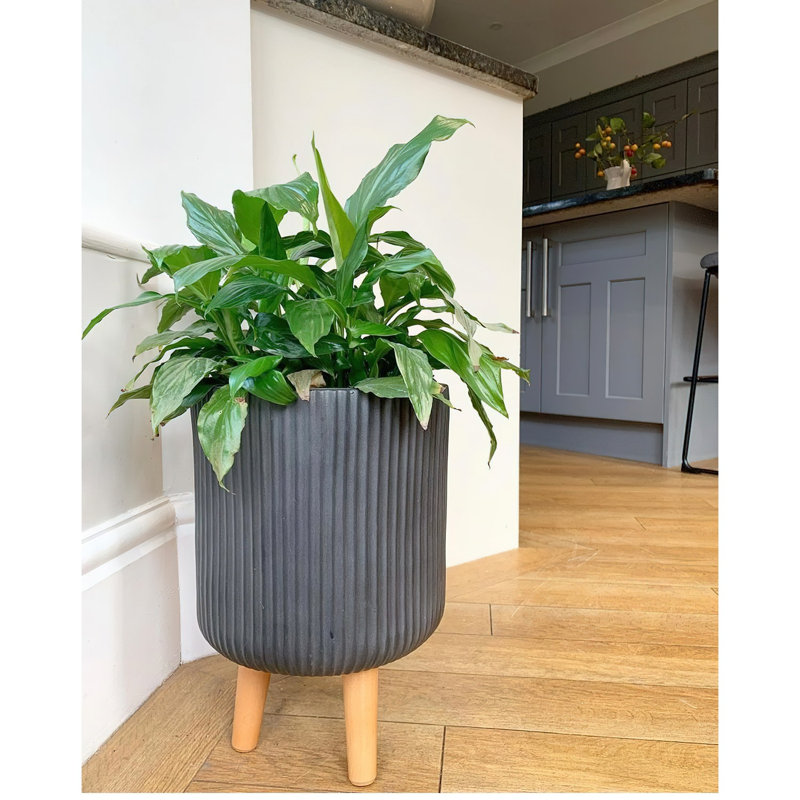 Ribbed Cylinder Planter with Feet, 46cm H x 30.5cm W x 30.5cm D, Grey