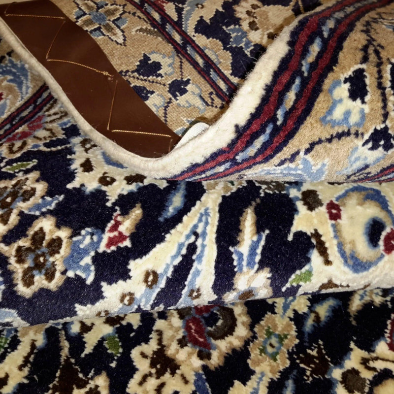 Oriental Area Rug in Navy