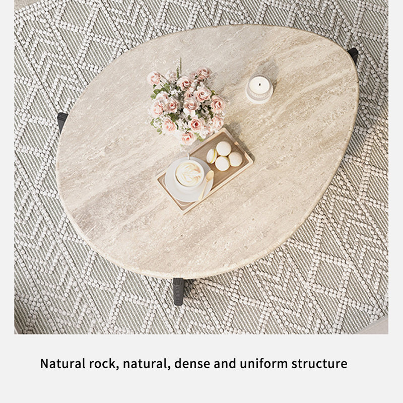 Modern Minimalist Egg-Shaped Coffee Table, Black
