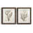 Papier, cadre noyer
