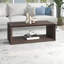 Wander Solid Coffee Table with Storage-1289502543-1295922825