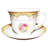 Scheffer Tea Cup and Saucer-455846383