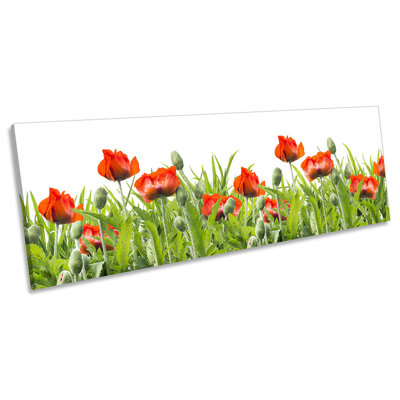 Red Poppies Floral Flowers 1 Piece Wrapped Canvas Panoramic Wall Art