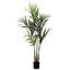 Kentia Palm Tree with Pot-2144567597