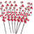 Rose rouge est en rupture de stock