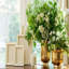 Delmara Ceramic / Porcelain Table Vase-1672380312