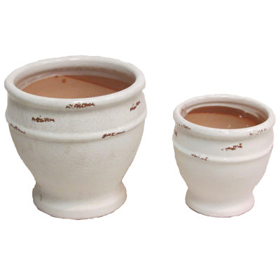 Sonoma Ceramic Pot Planter