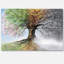 Tree with Four Seasons - Graphic Art Print-2106505451-2067212274-2034200490