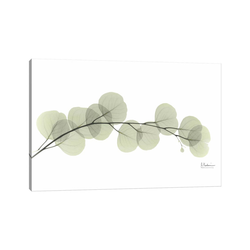 Eucalyptus by Albert Koetsier - Print on Canvas, 20.32 cm H x 30.48 cm W, Wrapped Canvas