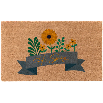 Tapis d'entrée antidérapant 30 po x 18 po