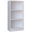 Athylene 114cm H Standard Bookcase-49466554-49466552