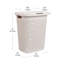  Panier à linge mince 50 L, panier à linge, couvercle, plastique-111360882-130971511
