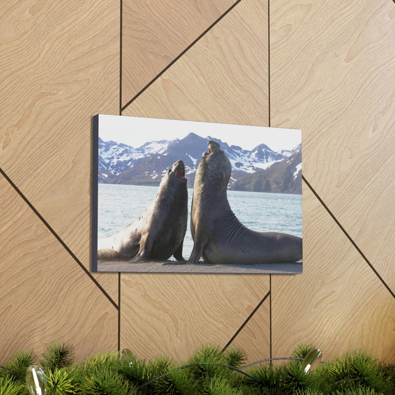 No Frame Print on Canvas, 11cm H x 14cm W