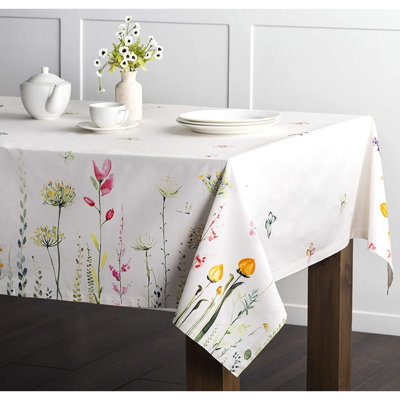 Nappe Syeira