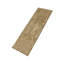 Assumed Damask Area Rug in Gray/Green