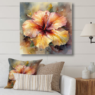 Rudell " Hibiscus Euphoria "
