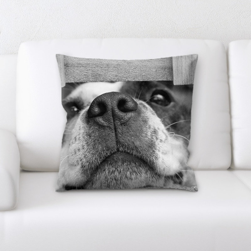 Coussin pour chien