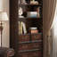 Bibliothèque populaire de style américain