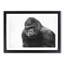 A Silverback Gorilla - Single Picture Frame Painting on MDF-56628257-56628258