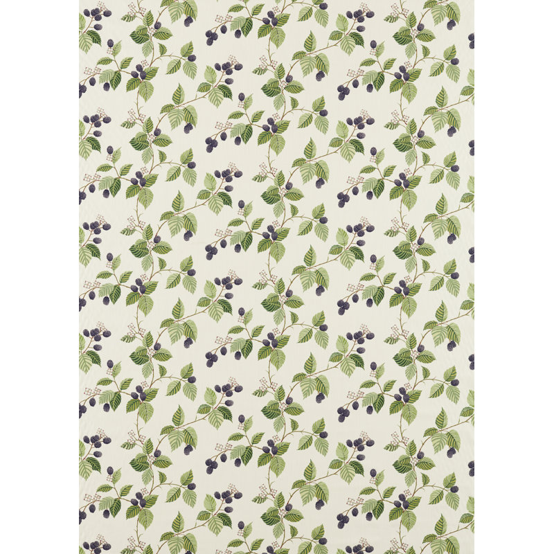 Rubus Fabric, Blackberry