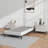 Manston Metal Box Spring-309983662-309983657