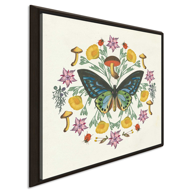 « papillon mandala iv », impression, H 21,5 po x l 21,5 po x P 2 po, Cadre flottant espresso
