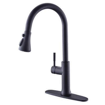 GAWEZA Pull Down Kitchen Faucet
