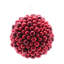 Boules en mousse (ensemble de 2)-2101732142