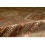 Trinity Wool Oriental Area Rug
