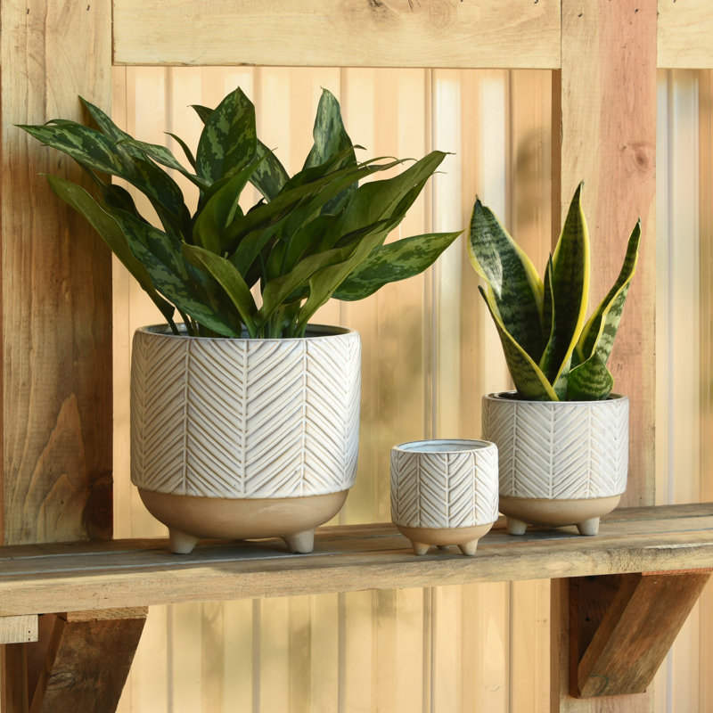 Winkler Ceramic Pot Planter