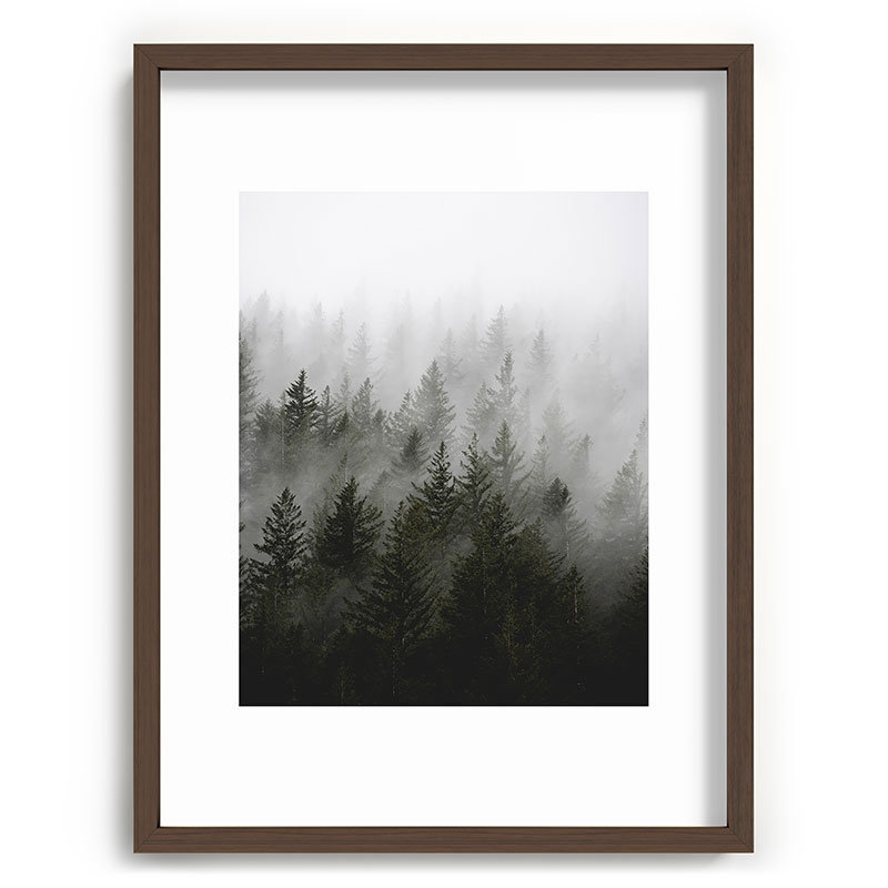 Loon Peak® Foggy Fir Forest, H 24 po x l 18 po