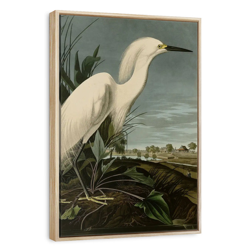 Héron enneigé ou aigrette blanche, Floating Frame Natural Wood, 25" x 37"