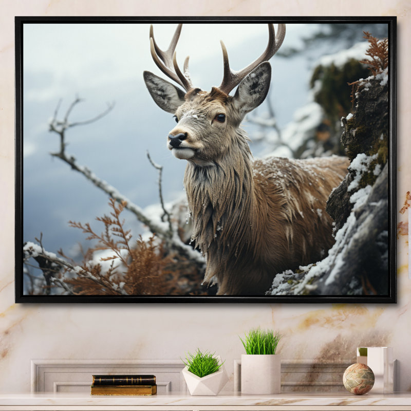 «Winter Deer», photographie monochrome II sur toile, H 34 po x l 44 po x P 1,5 po, Cadre flottant noir