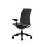 Steelcase Amia Ergonomic Task Chair-334359743-323515491-323515497