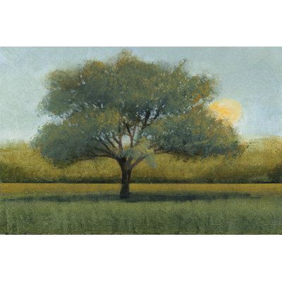 Sunrise I - Wrapped Canvas Print