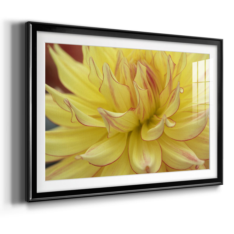 Blooms avec cadre en I et cadre biseauté mat et verre, Noir, H 30 po x l 44 po x P 1,5 po