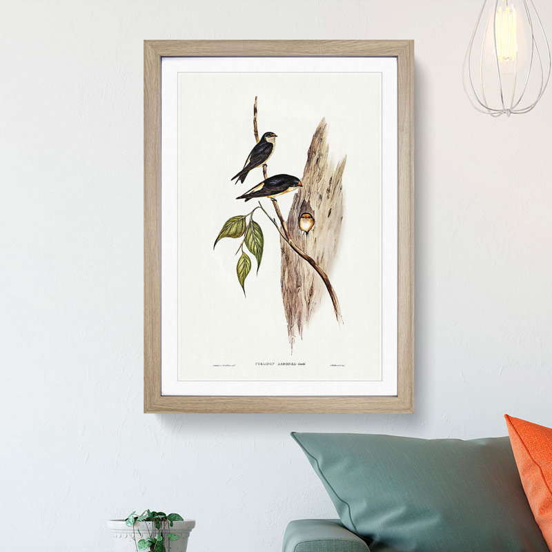 Tree Martins by Elizabeth Gould - Picture Frame Painting Print, 48cm H x 36cm W x 2cm D, Oak Framed