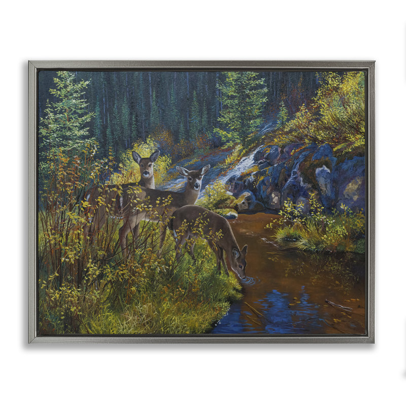 Art mural encadré, "Deer Dr potable from River" par Andrew Kiss, Cadre flottant gris lustré, H 25 po x l 31 po
