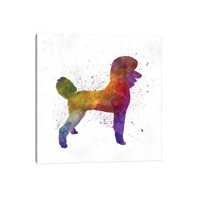 Poodle 01 In Watercolour by Paul Rommer - Wrapped Canvas Painting, 66.04cm H x 66.04cm W x 1.91cm D