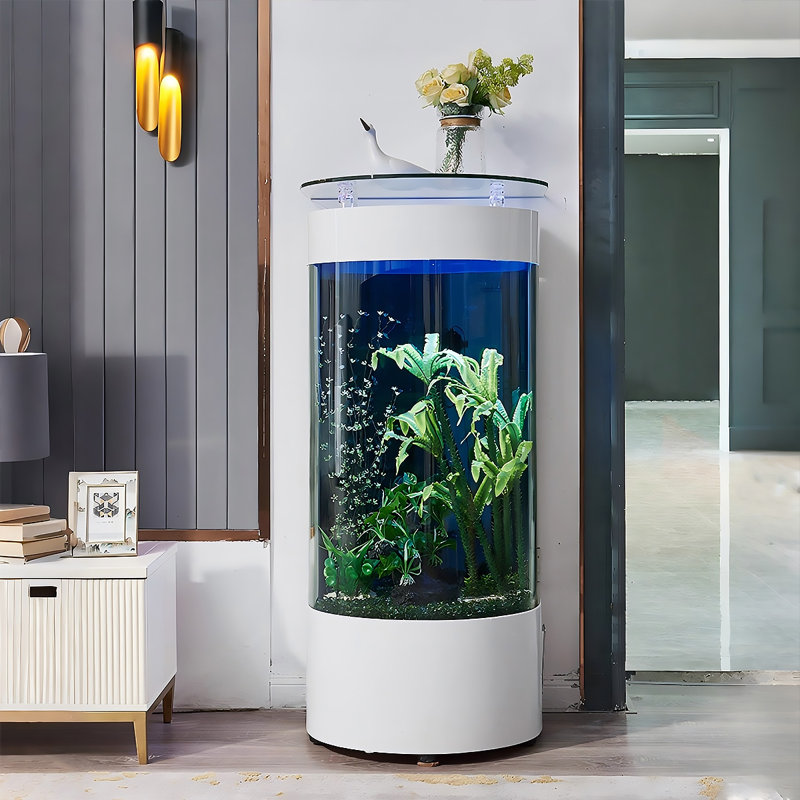 Aquarium 27,56 po, Blanc, 64,72 gallons (H 54,33 po x l 27,56 po x P 19,69 p
