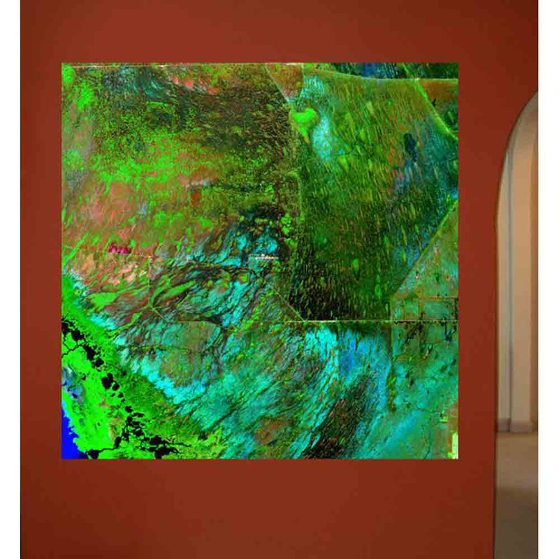 Adhésif décoratif Everglades, H 36 po x l 36 po