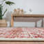 Mirabelle Floral Area Rug in Rust-2115374868