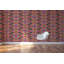 Rouleau de papier peint L 10 pi x l 24 po Foo You You-87678344-132253700
