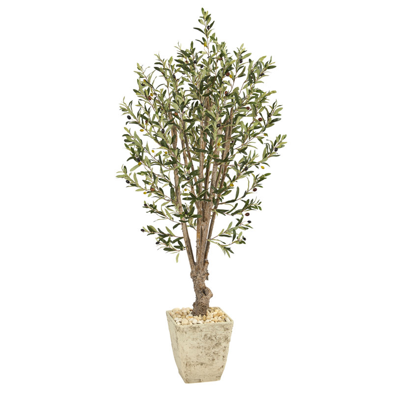60'' Faux Olive Tree Tree in Planter