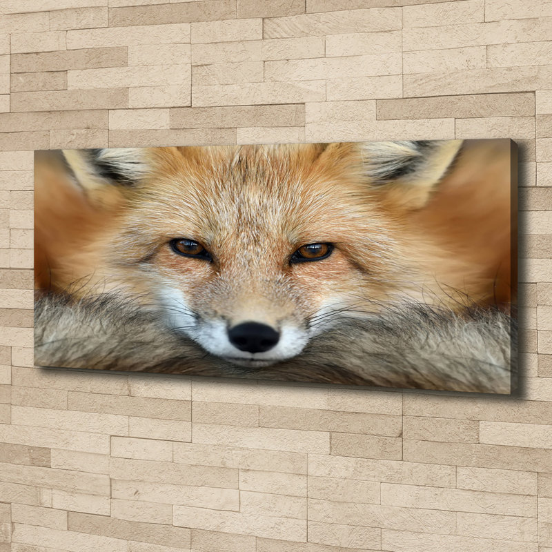 Fox - Wrapped Canvas Print, Canvas, 50cm H x 125cm W