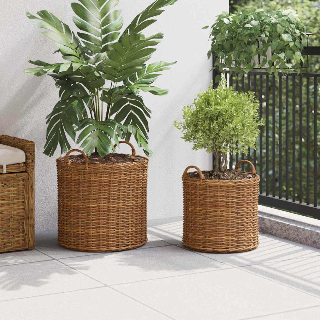 Planter Basket With Storage 2 Pcs Lacak Rattan Decorative Container