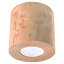 Bergelmir Flush Mount
