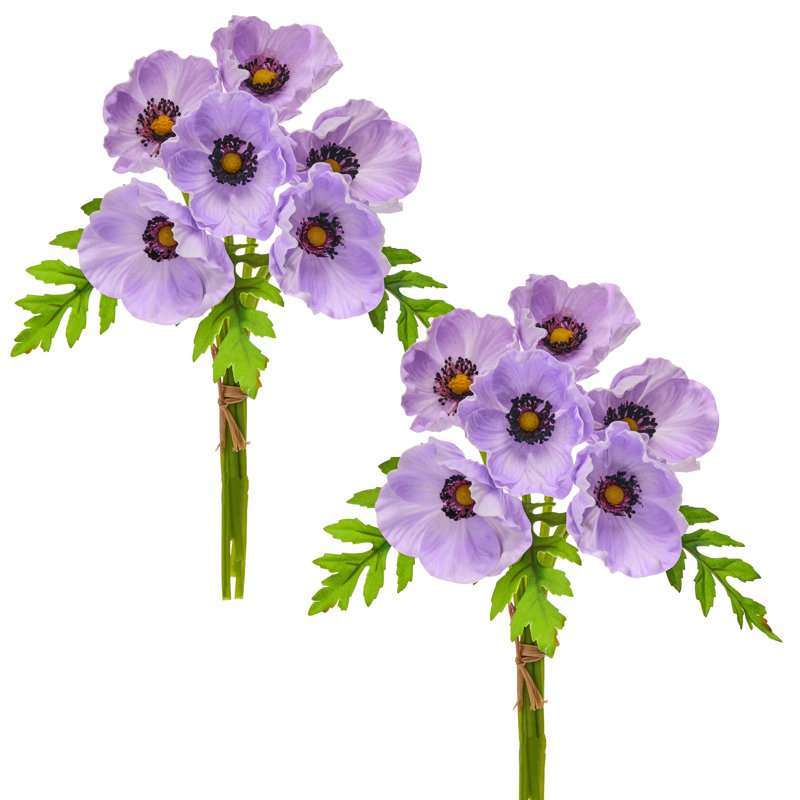 Ensemble d'anémone 11 "Pu, Mauve