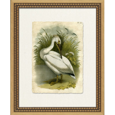 Crackled Marsh Birds III Painting
